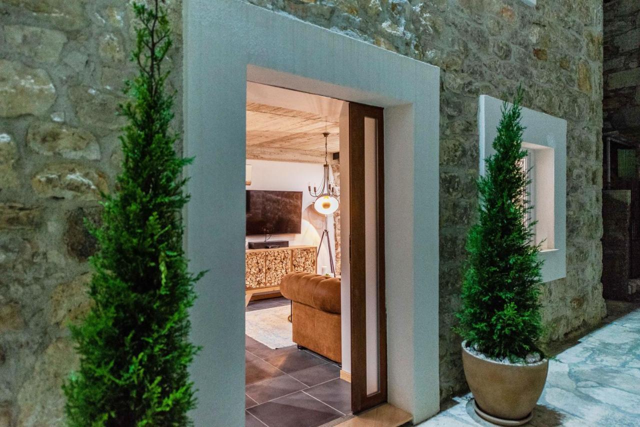 Villa Planita Dalmacija Novigrad  المظهر الخارجي الصورة