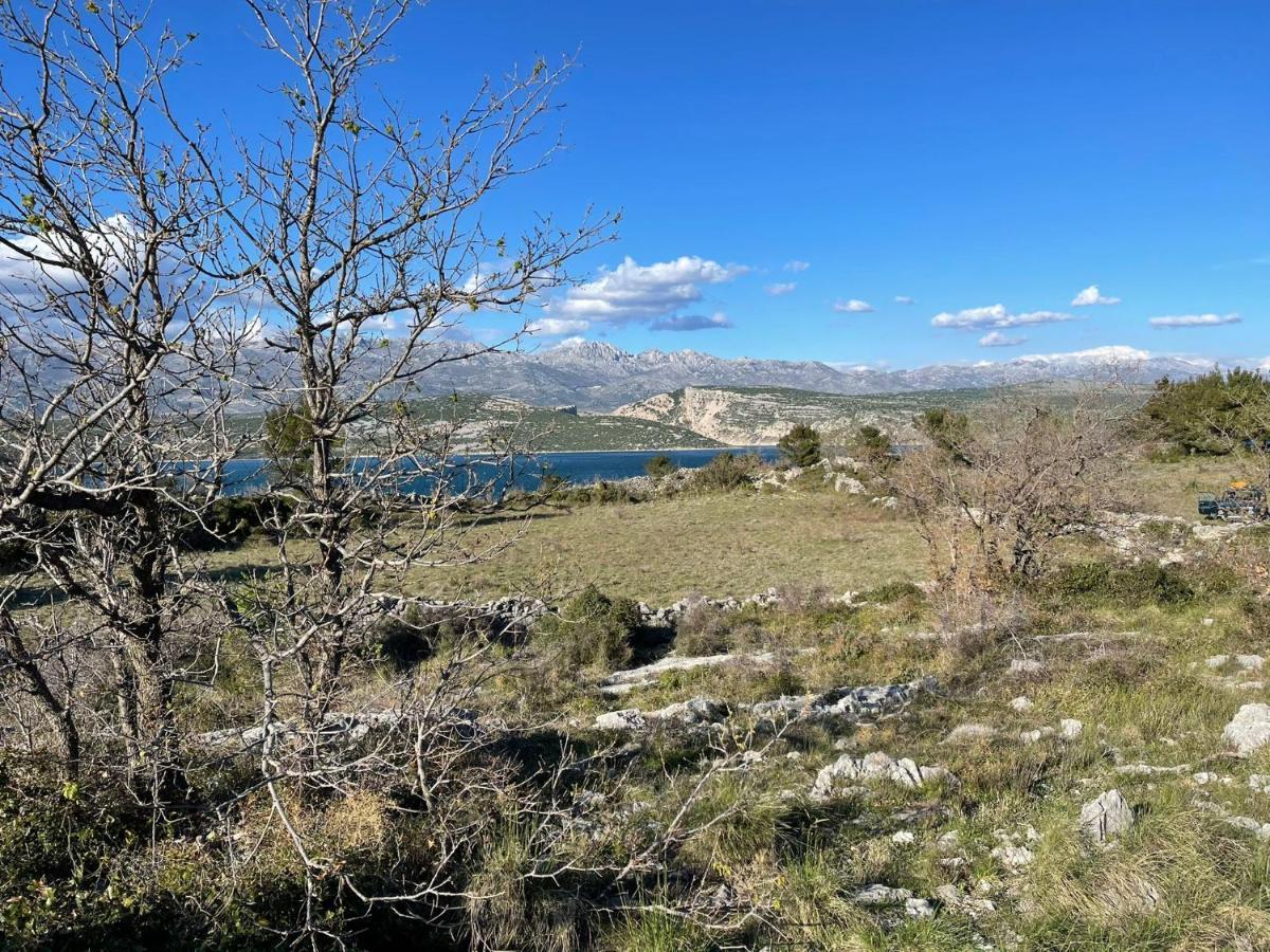 Villa Planita Dalmacija Novigrad  المظهر الخارجي الصورة