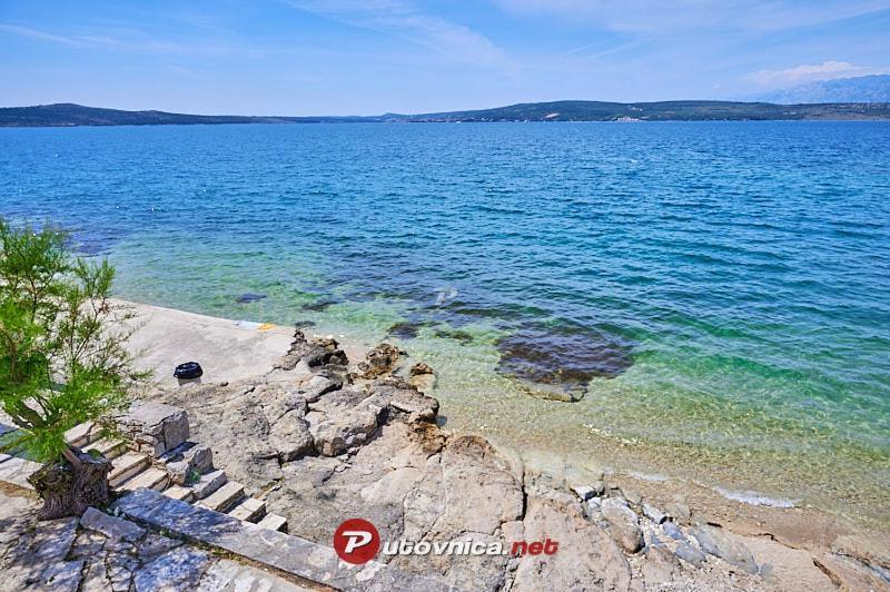 Villa Planita Dalmacija Novigrad  المظهر الخارجي الصورة